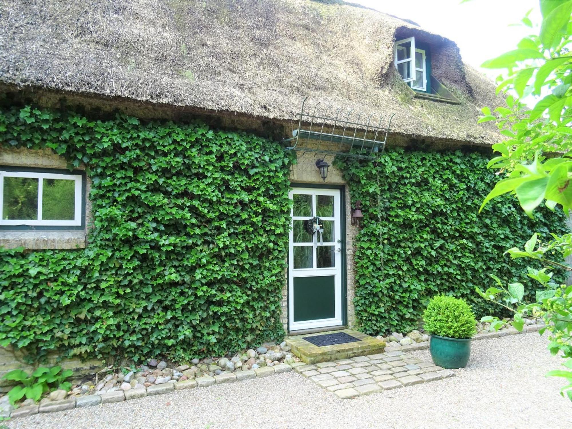 Kleines Reethaus Johannsen - Mit Geschmackvoller Einrichtung Und Tollem Garten Silberstedt Exteriör bild